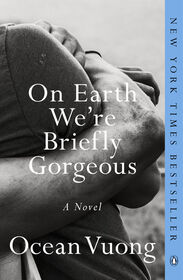 On Earth We're Briefly Gorgeous - English Edition