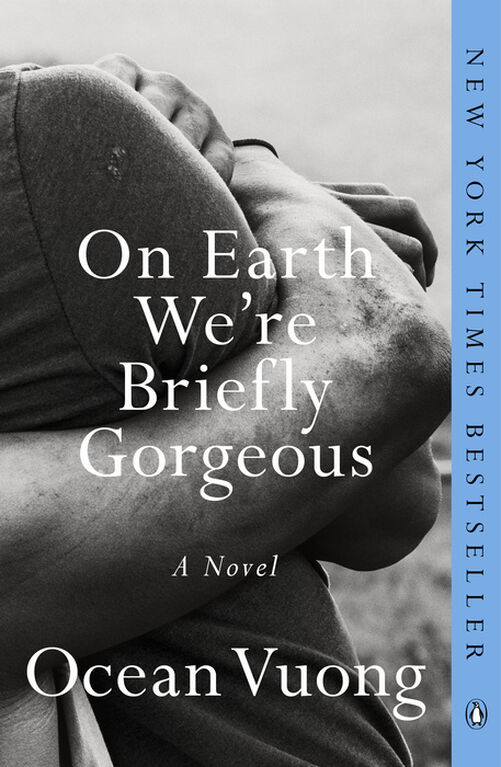 On Earth We're Briefly Gorgeous - English Edition