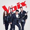 The Compilation - La Voix V
