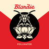 Blondie - Pollinator