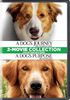 A Dog's Journey & A Dog's Purpose 2-Movie Collection [DVD]
