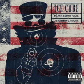 Ice Cube - Death Certificate (25th Anniversary Edition)