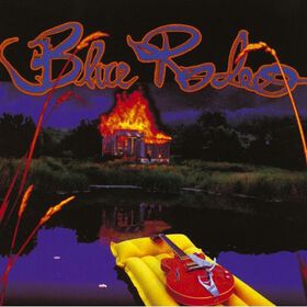 Blue Rodeo - Five Days in July