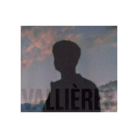 Vincent Vallieres - Toute Beaute N'Est Pas Perdue