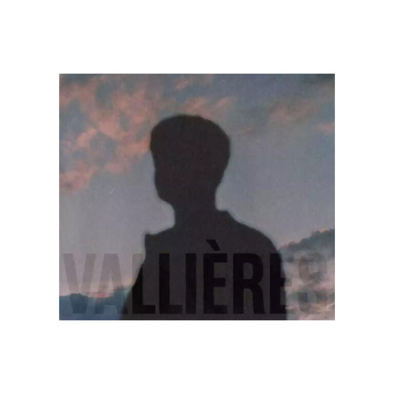 Vincent Vallieres - Toute Beaute N'Est Pas Perdue