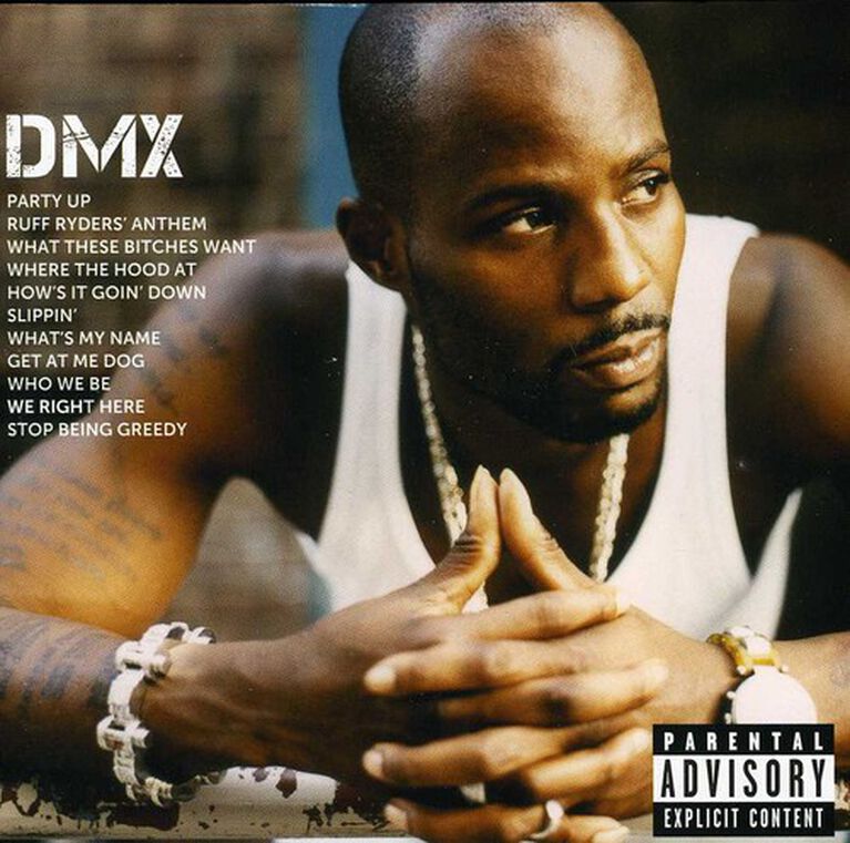 DMX - Icon