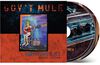 Gov't Mule - Heavy Load Blues [Deluxe 2 CD]