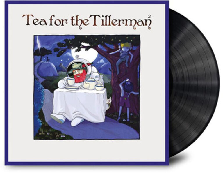 Yusuf (Cat Stevens) - Tea For The Tillerman 2