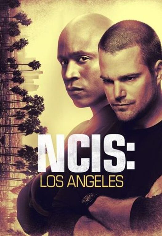 NCIS: Los Angeles: The Tenth Season [DVD]
