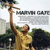 Marvin Gaye - Icon
