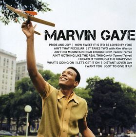 Marvin Gaye - Icon