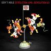 Gov't Mule - Revolution Come... Revolution Go...