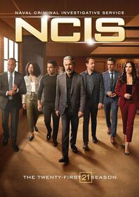 NCIS: Naval Criminal Investigative Service: The Twenty-First Season