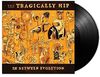 The Tragically Hip - In Between Evolution