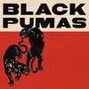 Black Pumas - Black Pumas