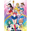 USAopoly Sailor Moon: "Sailor Guardians" 1,000 Piece Puzzle - English Edition