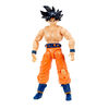 Dragonball Evolve Son Goku Instinct Sign