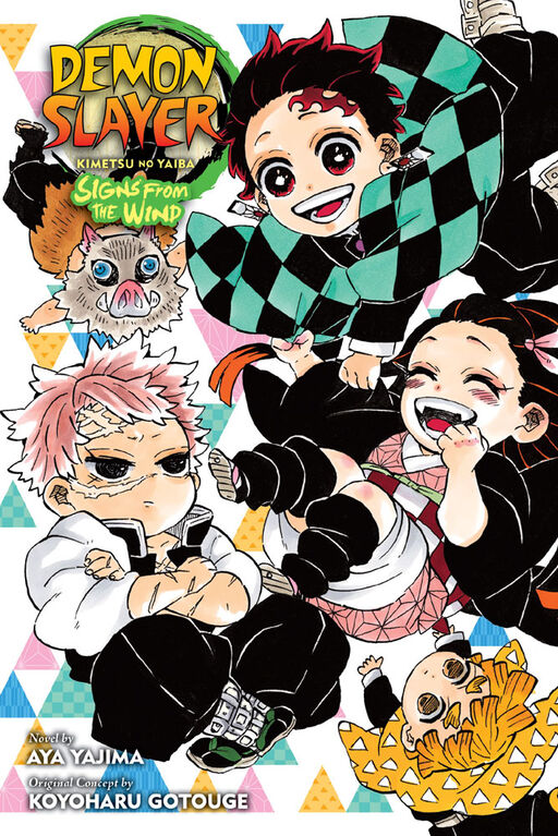 Demon Slayer: Kimetsu No Yaiba Novels - Édition anglaise