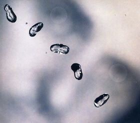 Peter Gabriel - Up