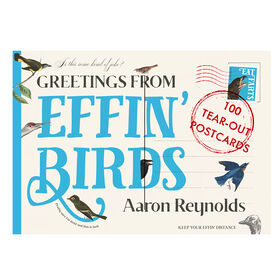 Greetings From Effin Birds - English Edition