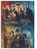 Wizarding World 10-Film Collection (20th Anniversary Line Look) [DVD]