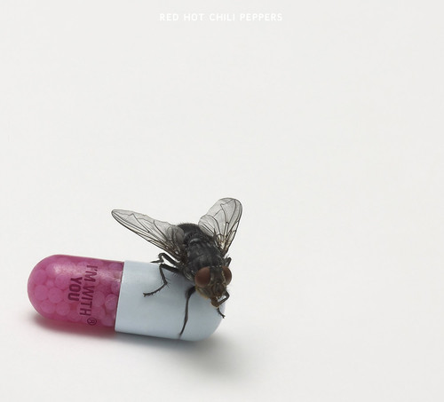 RED HOT CHILI PEPPERS I'm with You LP C433EBE7_1.jpg